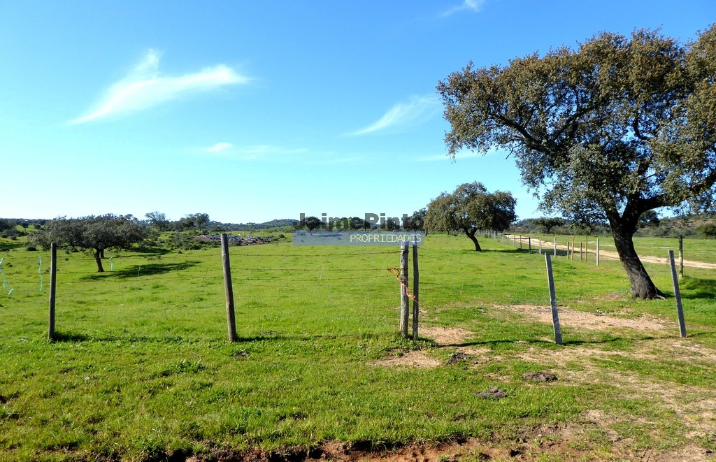 Terreno misto