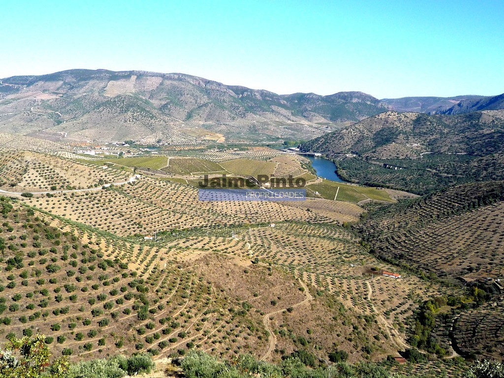Terreno agricola