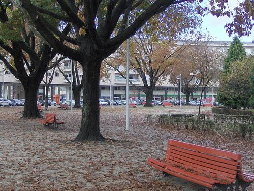 Terreno p/ contr. altura