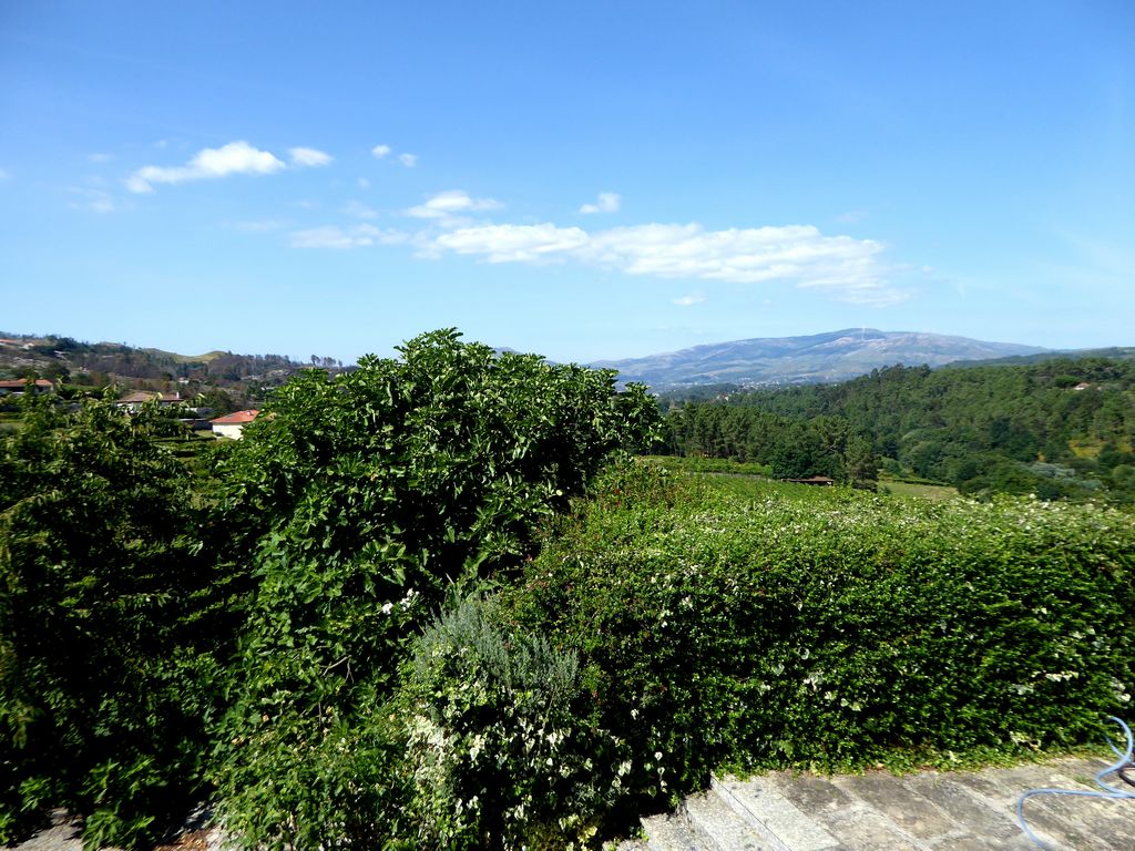 Quinta