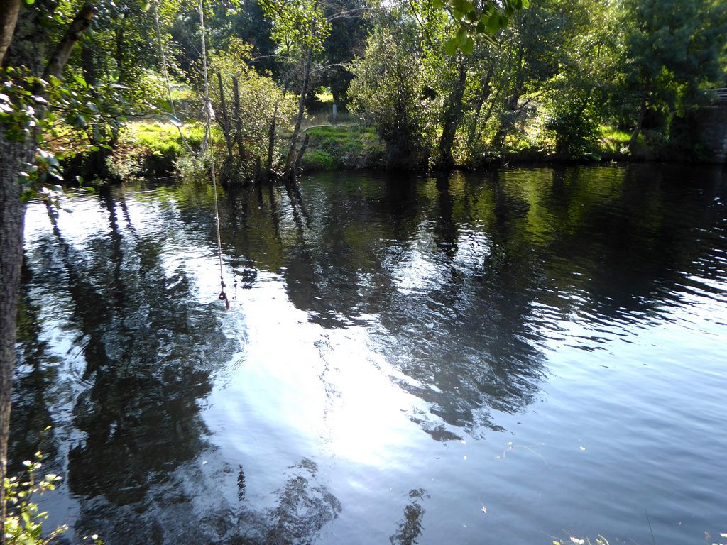 Quinta