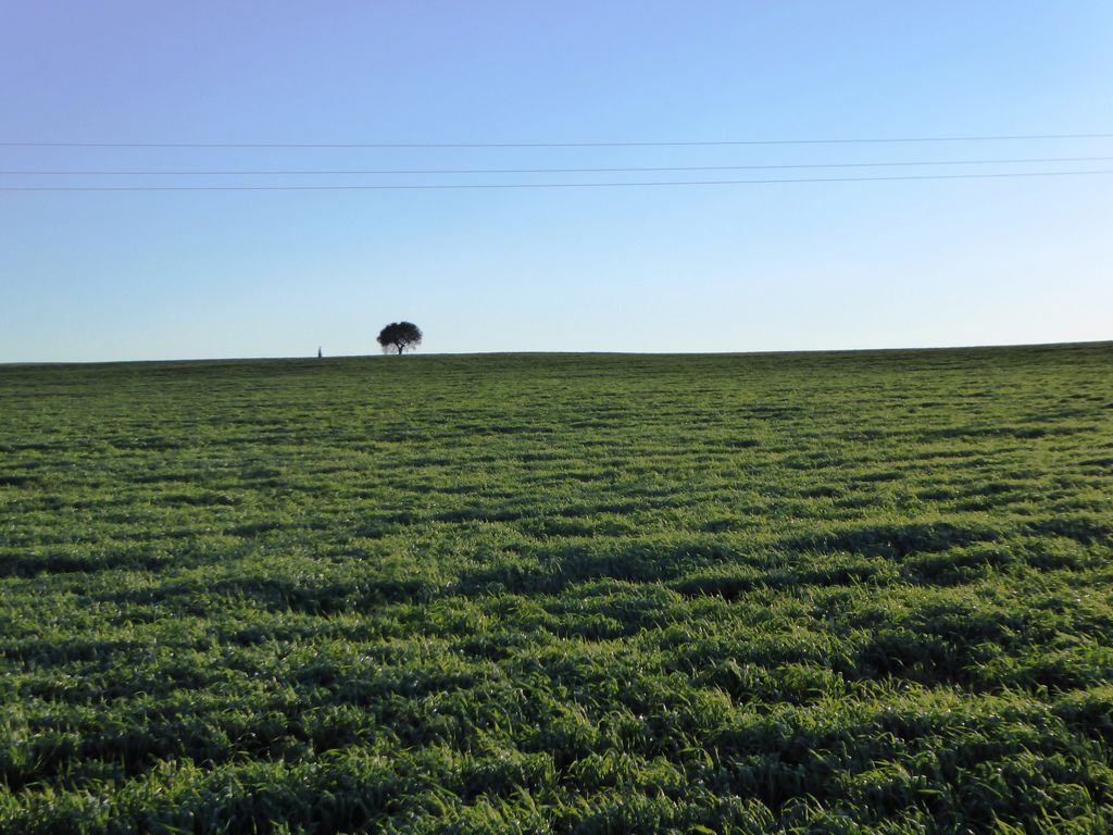 Herdade