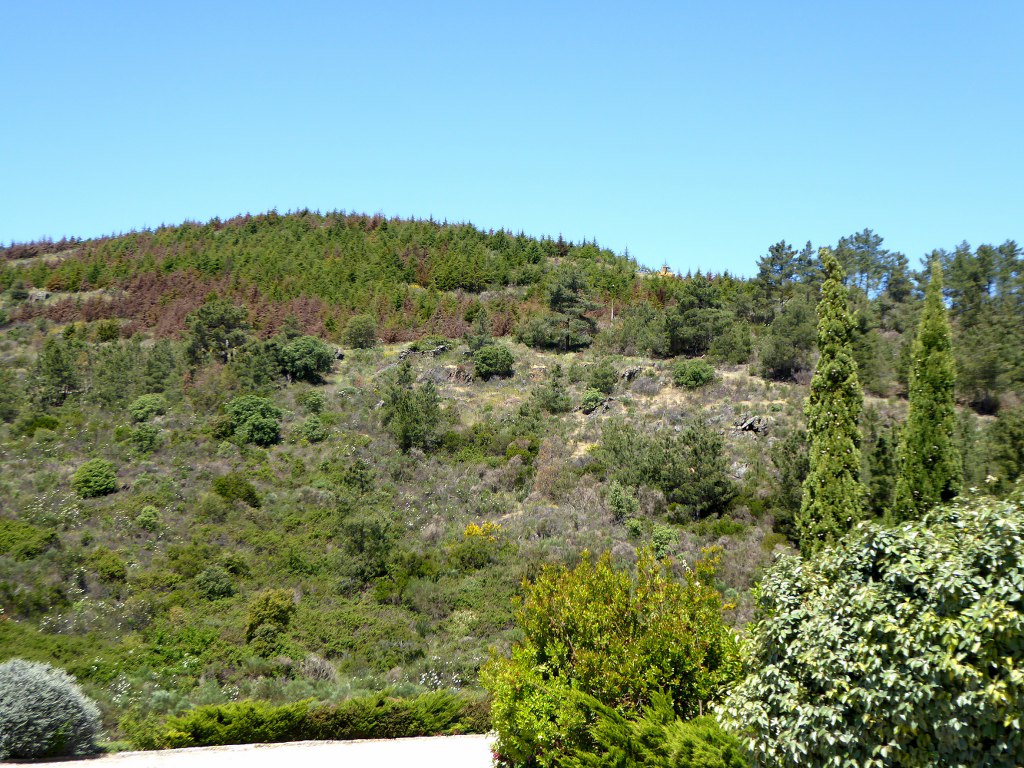 Quinta