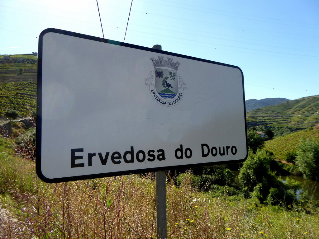 Quinta