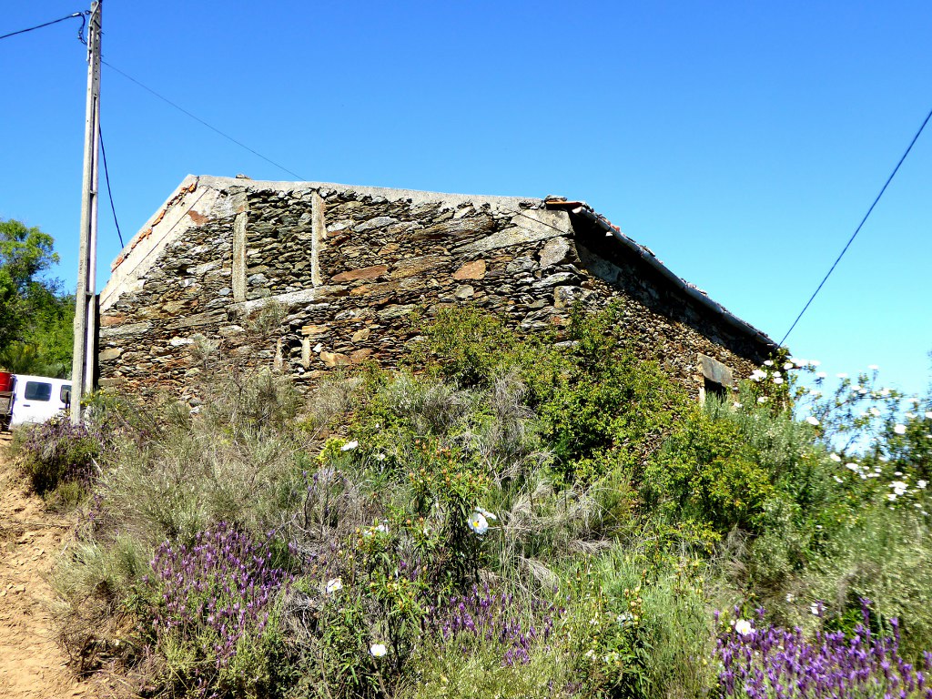 Quinta
