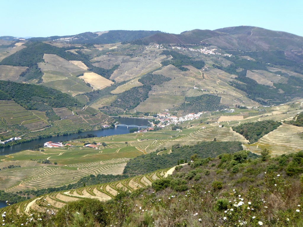 Quinta