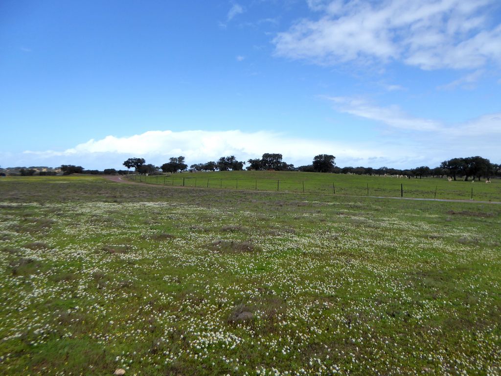 Herdade