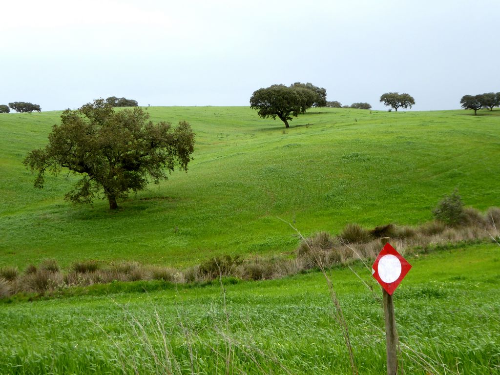 Herdade