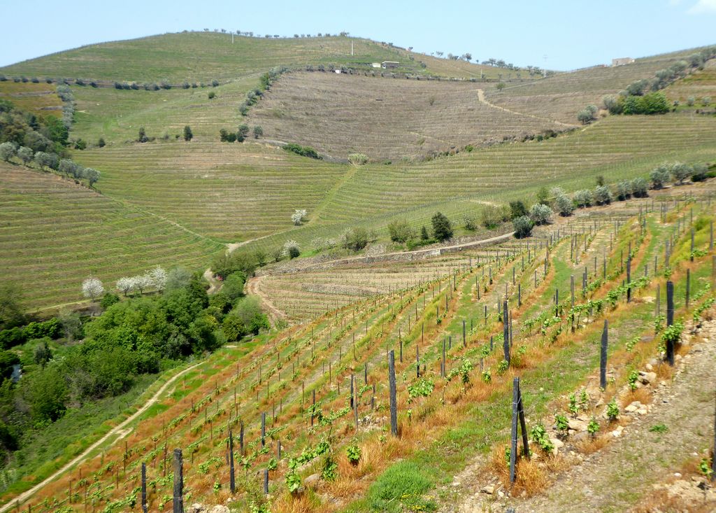 >=T6 - SANTA MARTA DE PENAGUI�O