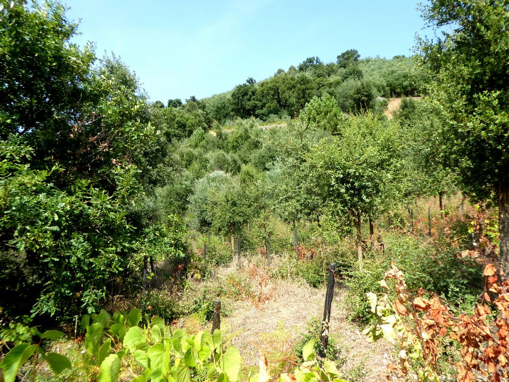 Moradia isolada