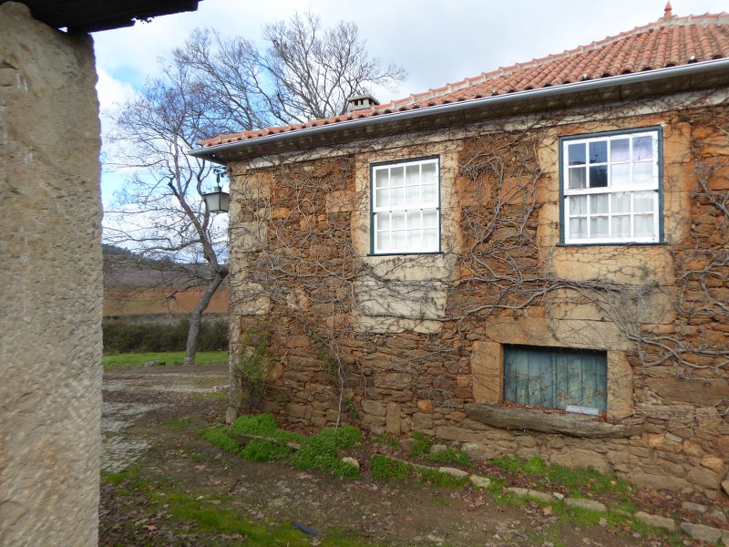 Quinta