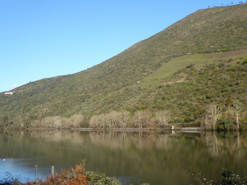 Quinta