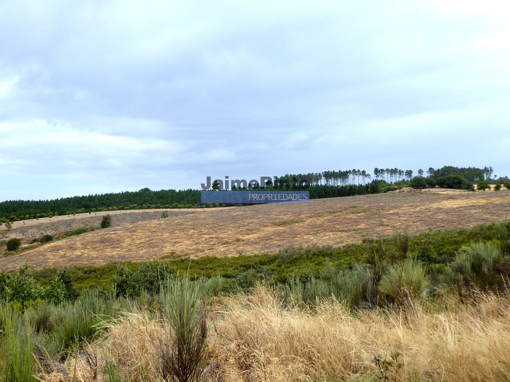 Terreno agricola