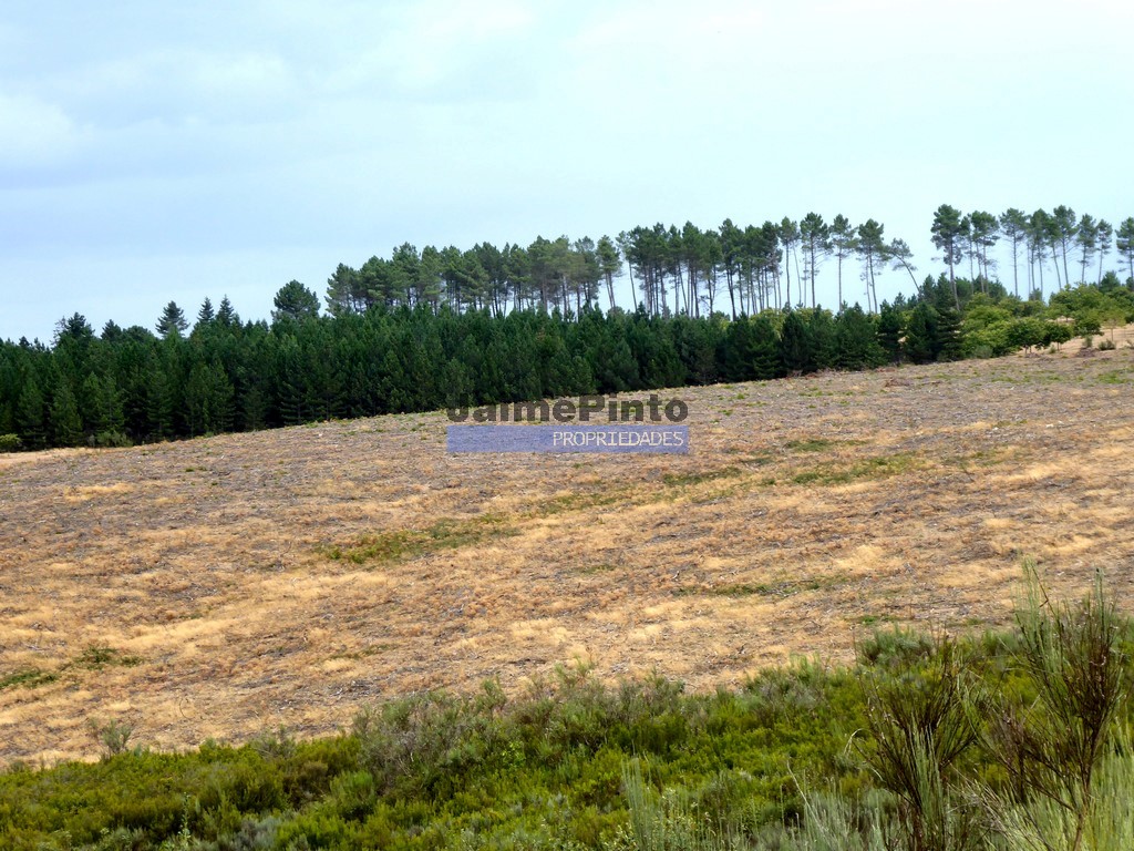 Terreno agricola