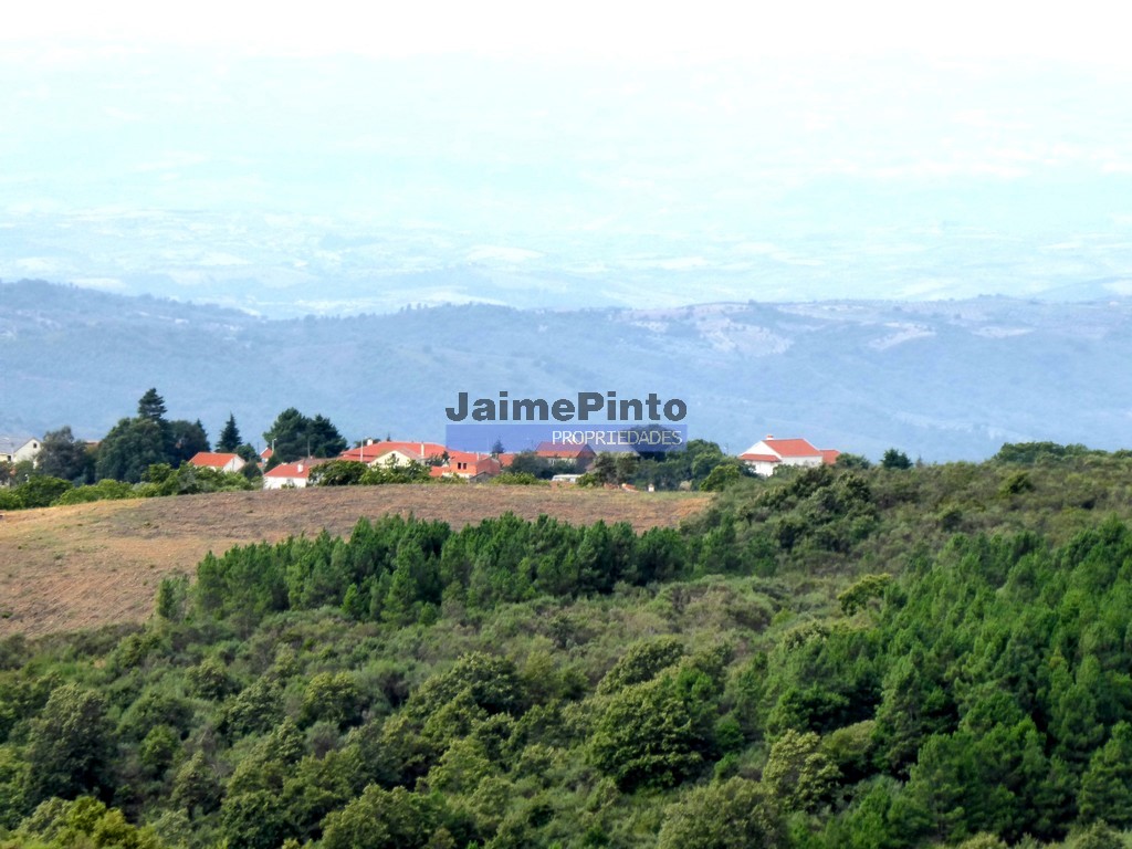 Terreno agricola