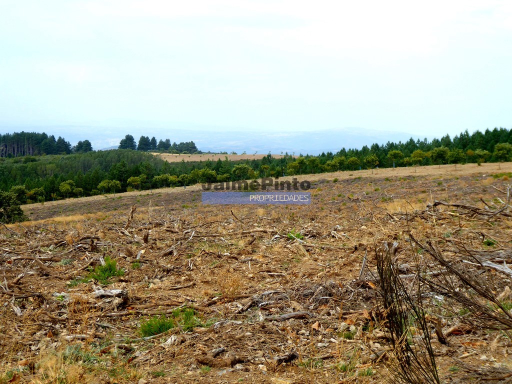 Terreno agricola