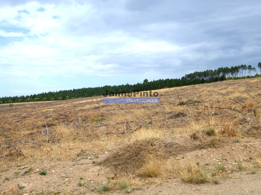 Terreno agricola