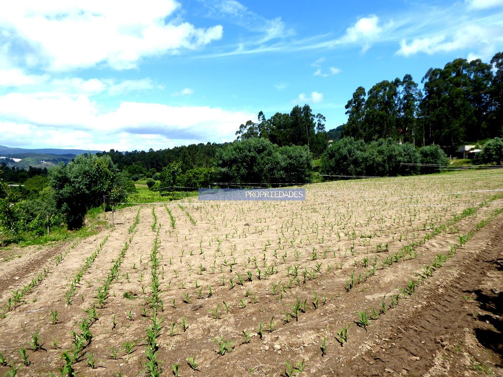 Terreno agricola