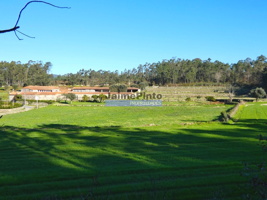 Quinta - ST - BARCELOS