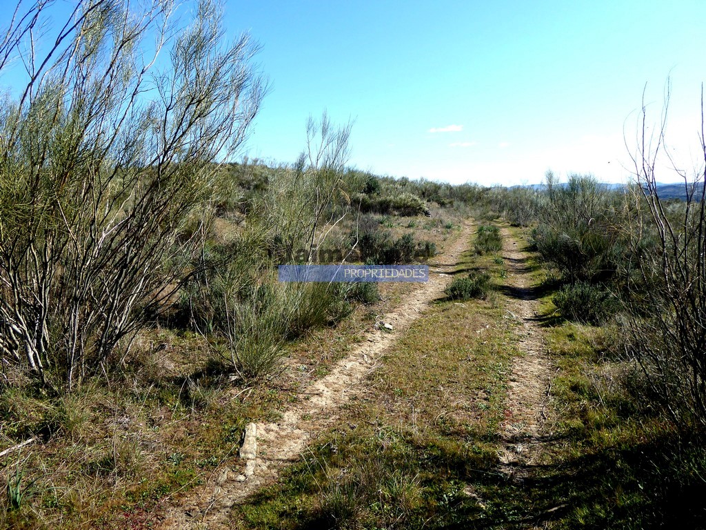 Terreno agricola