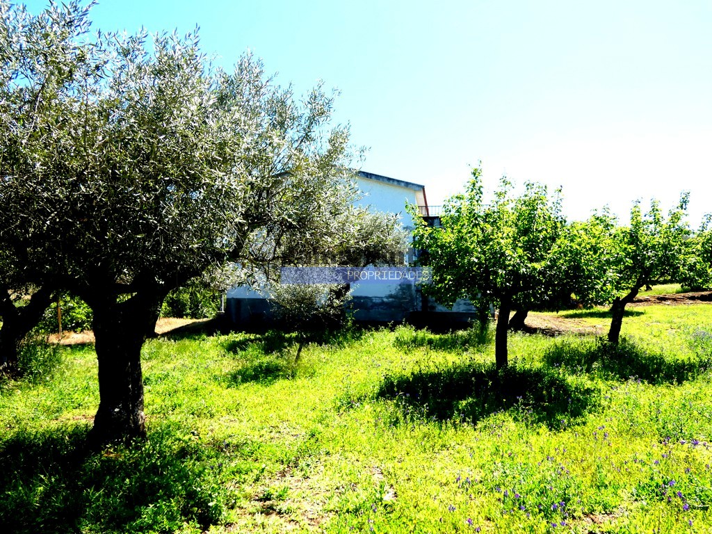 Terreno agricola