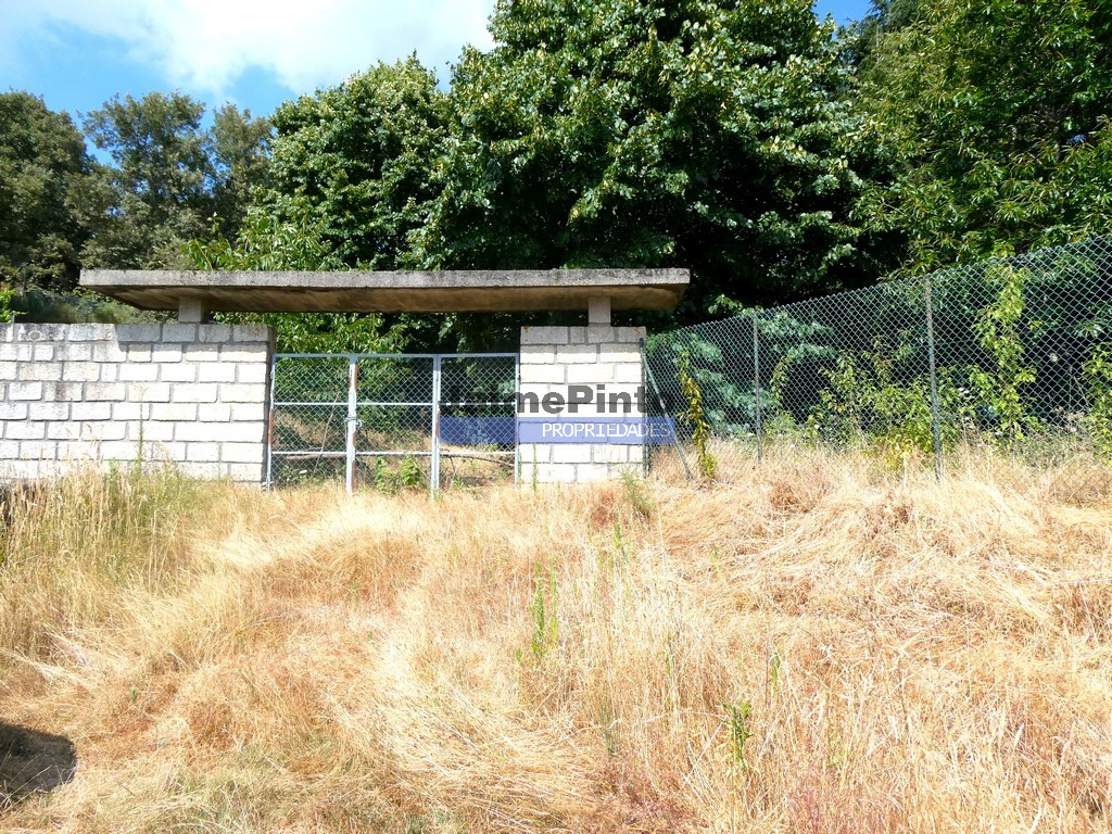 Quinta - ST - BAIO
