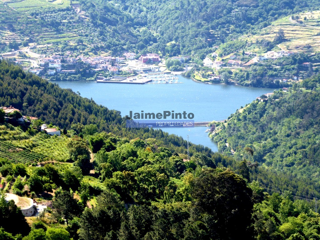 Quinta