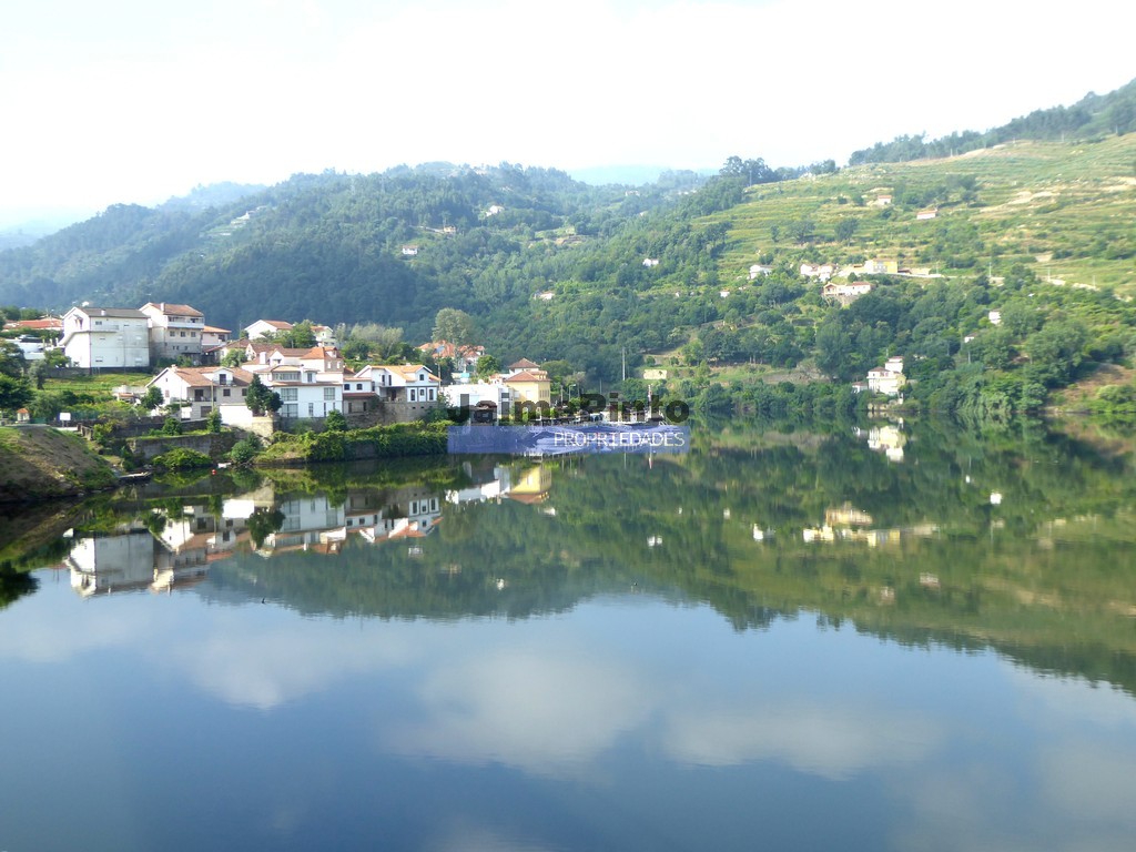 Quinta