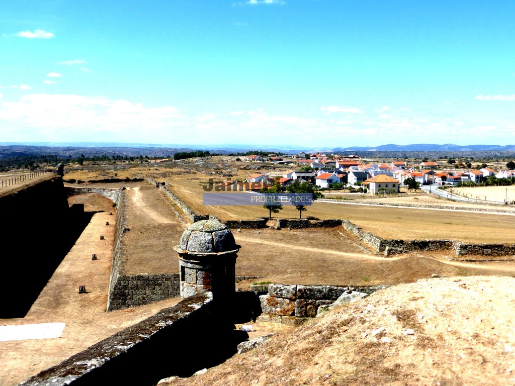 Terreno agricola