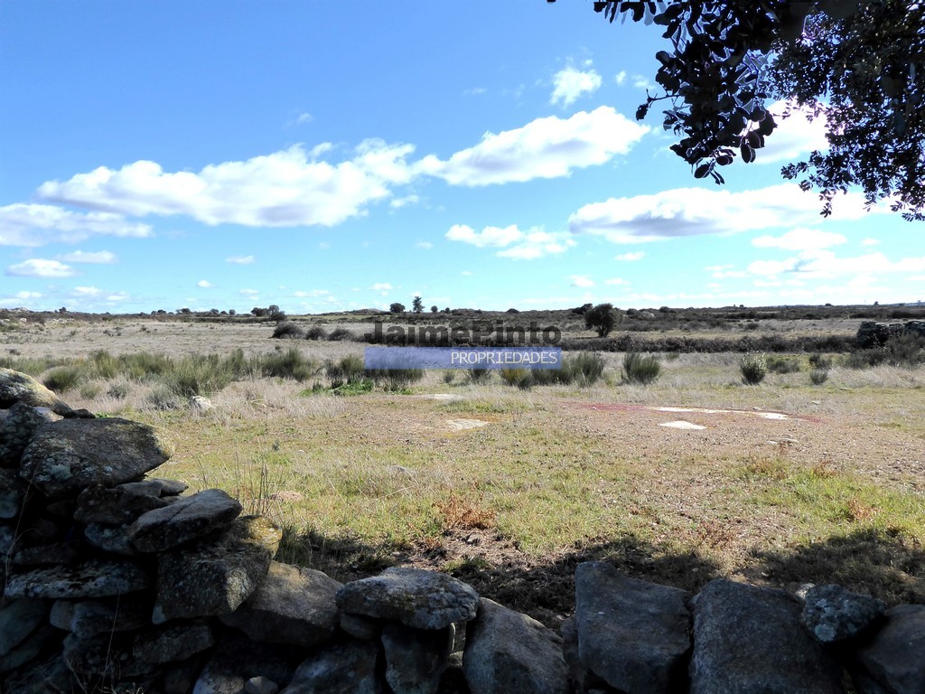 Terreno agricola - ST - FIGUEIRA DE CASTELO RODRIGO