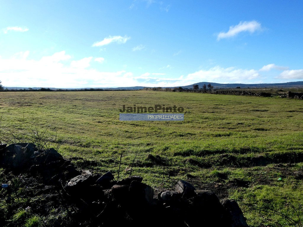 Terreno agricola - ST - FIGUEIRA DE CASTELO RODRIGO