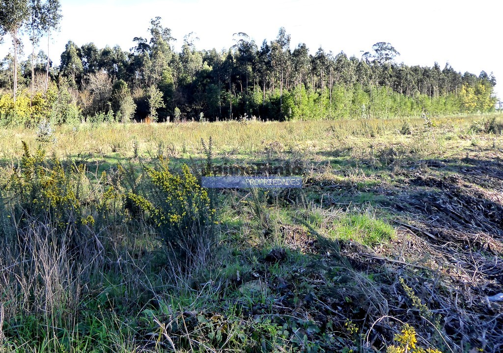 Terreno misto - ST - AVEIRO