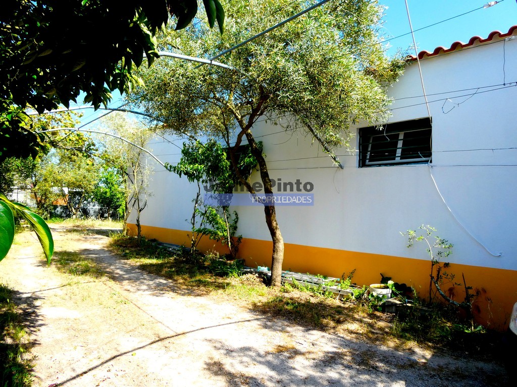 Quinta