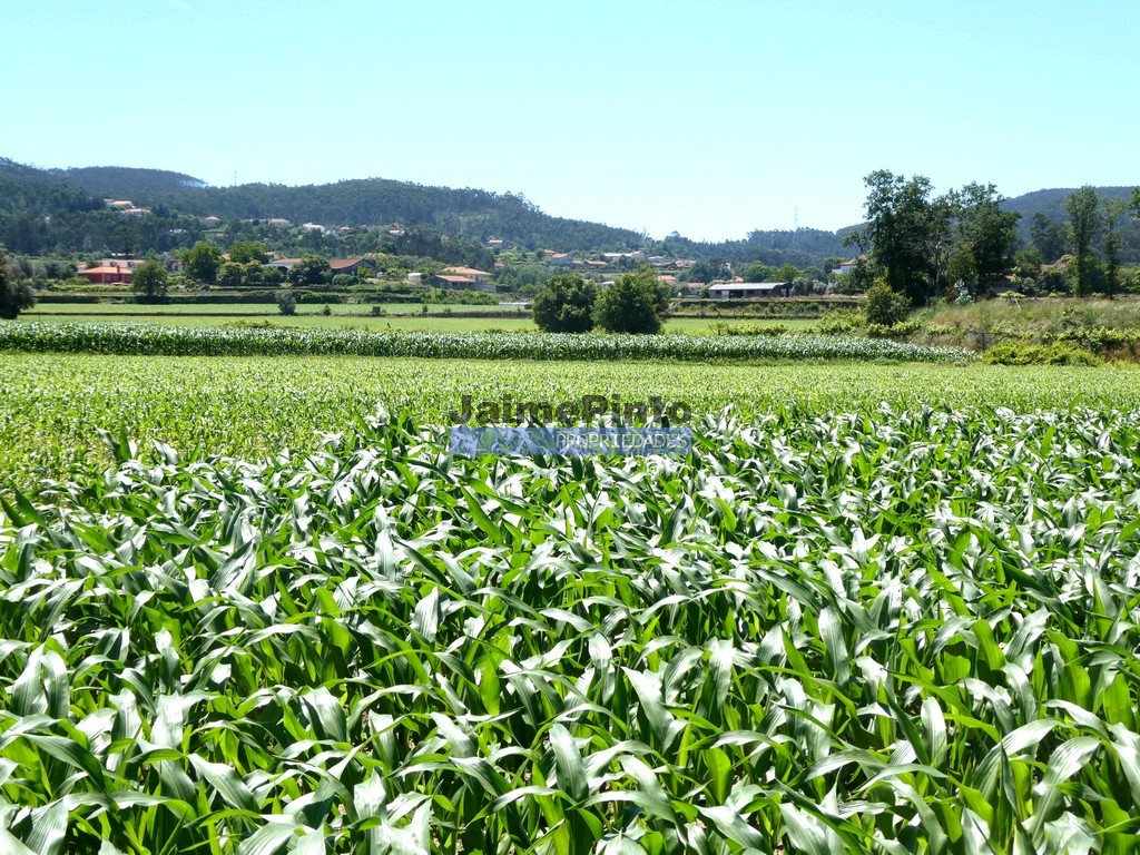 Terreno p/ moradia