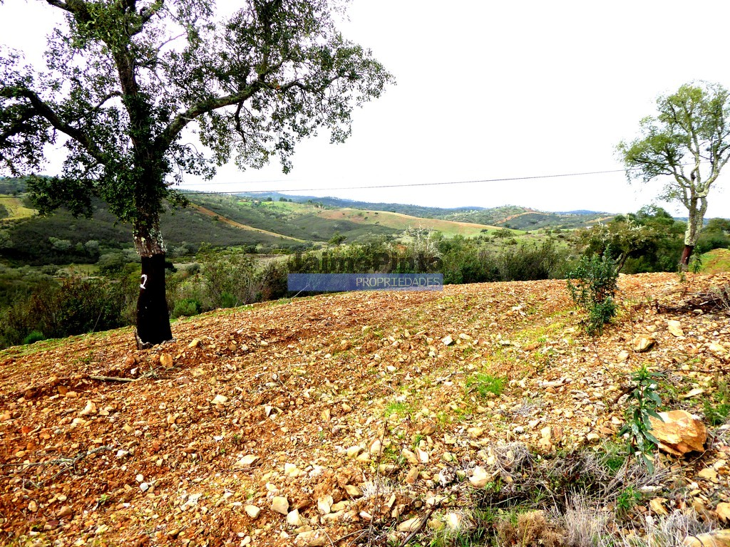 Quinta